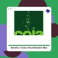 Botella cristal Bbo Azul - Irisana - tienda vegana online