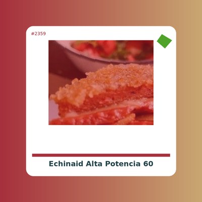 Equinacia Echinaid Alta...