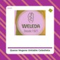 Queso Untable de Cebolleta - Sheese - tienda vegana online