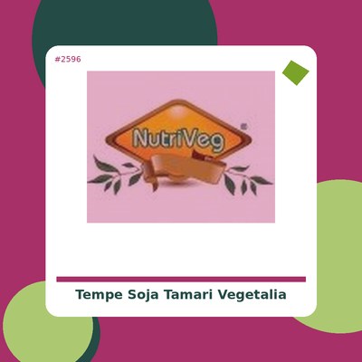 Tempe de Soja con Tamari - Vegetalia - tienda vegana online