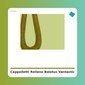 Cappelletti Relleno de Boletus - Vantastic Foods - tienda vegana online