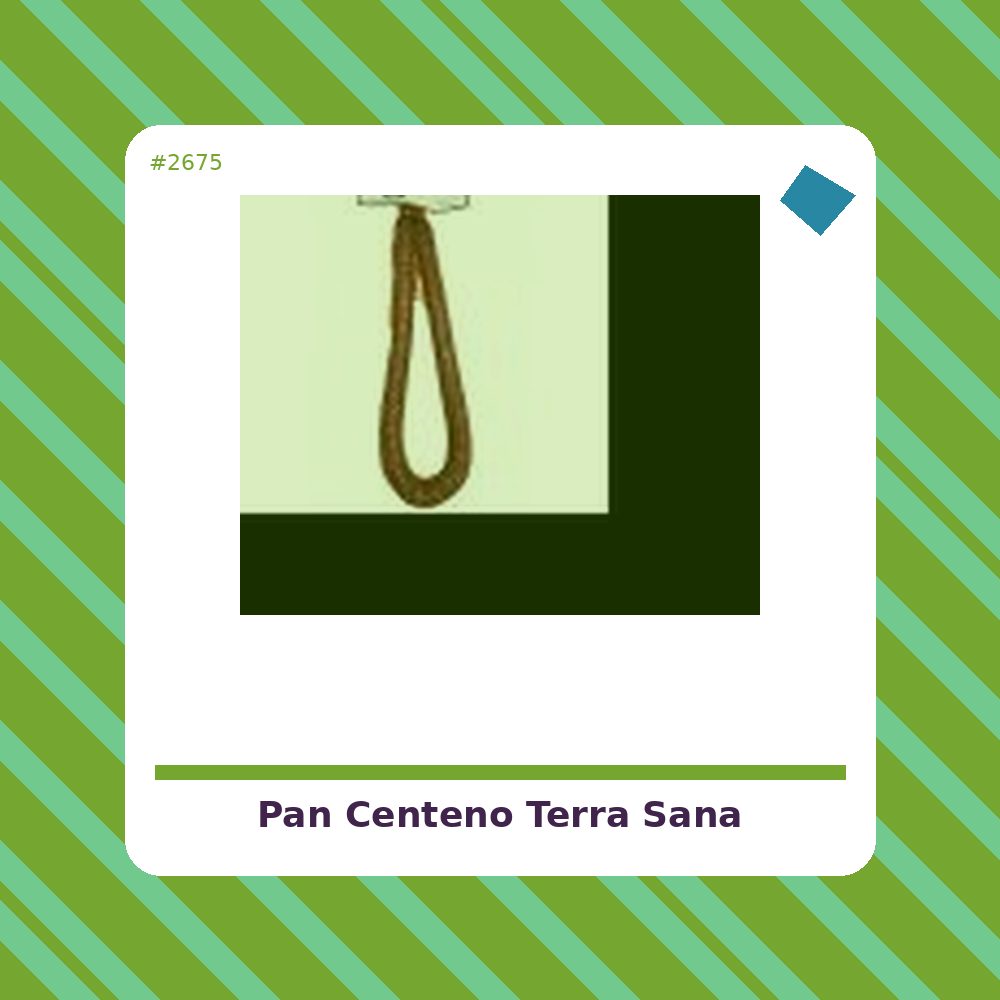 Pan de Centeno - Terra Sana - tienda vegana online