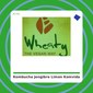 Kombucha Jengibre y Limón - KomVida - tienda vegana online Kombucha Jengibre y Limón - KomVida - tienda vegana online