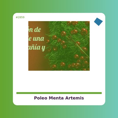Poleo Menta - Artemis - tienda vegana online