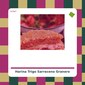 Harina de Trigo Sarraceno - El Granero Integral - tienda vegana online Harina de Trigo Sarraceno - El Granero Integral - tienda vegana online