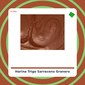 Harina de Trigo Sarraceno - El Granero Integral - tienda vegana online Harina de Trigo Sarraceno - El Granero Integral - tienda vegana online