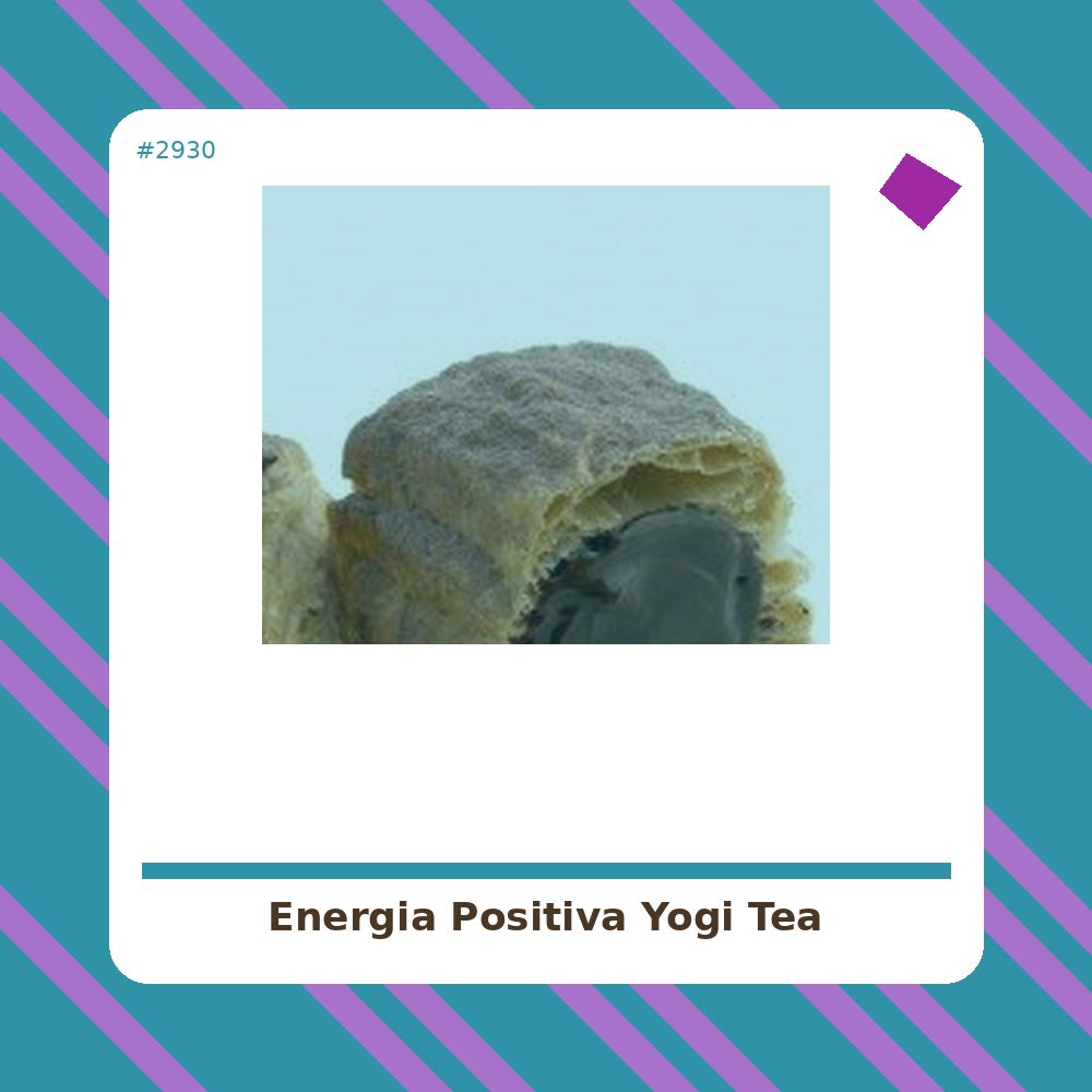 Energía Positiva - Yogi Tea- tienda vegana online