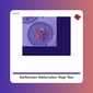 Defensas Naturales - Yogi Tea - tienda vegana online
