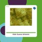 Kids Sueño - Artemis - tienda vegana online Kids Sueño - Artemis - tienda vegana online