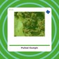 Pulled - Oumph! - tienda vegana online Pulled - Oumph! - tienda vegana online