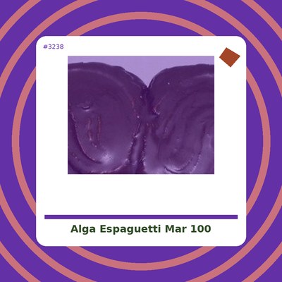 Alga Espaguetti de mar 100 g. - Algamar - tienda vegana online