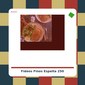 Fideos finos de Espelta 250 g. - Biográ - tienda vegana online Fideos finos de Espelta 250 g. - Biográ - tienda vegana online