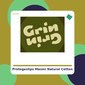 Protegeslips - Masmi Natural Cotton - tienda vegana online Protegeslips - Masmi Natural Cotton - tienda vegana online