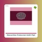 Mascarillas protección KN95 FFP2 - Pack de 2 - tienda vegana online Mascarillas protección KN95 FFP2 - Pack de 2 - tienda vegana online