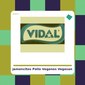 Jamoncitos de Pollo Veganos - Vegesan - tienda vegana online Jamoncitos de Pollo Veganos - Vegesan - tienda vegana online