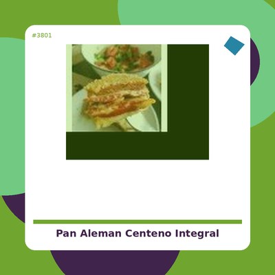 PAN ALEMÁN CENTENO INTEGRAL BIO - SOL NATURAL - tienda vegana online