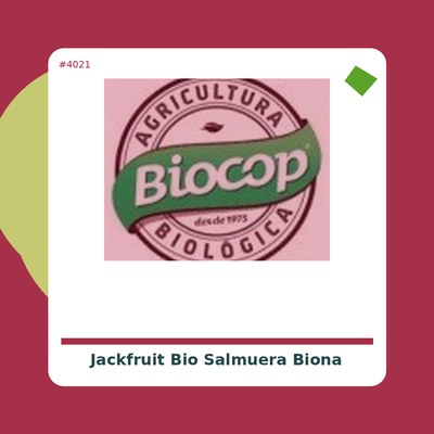 Jackfruit Bio en salmuera - Biona - tienda vegana online