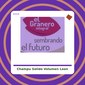 champú solido volumen león - silvestre - tienda online - apto curly champú solido volumen león - silvestre - tienda online - apto curly