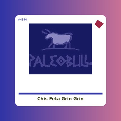 Chis Feta - Grin Grin - tienda vegana online