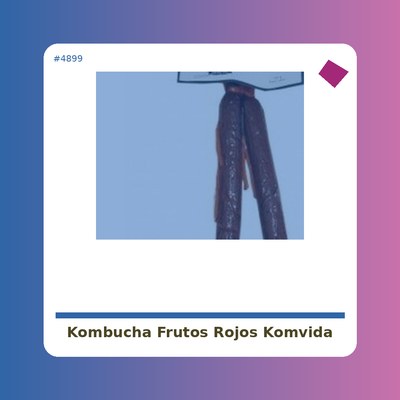 Kombucha Frutos Rojos -...