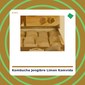 Kombucha Jengibre y Limón - KomVida - tienda vegana online Kombucha Jengibre y Limón - KomVida - tienda vegana online