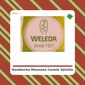 Kombucha Manzana, Canela y Vainilla - KomVida- tienda vegana online Kombucha Manzana, Canela y Vainilla - KomVida- tienda vegana online