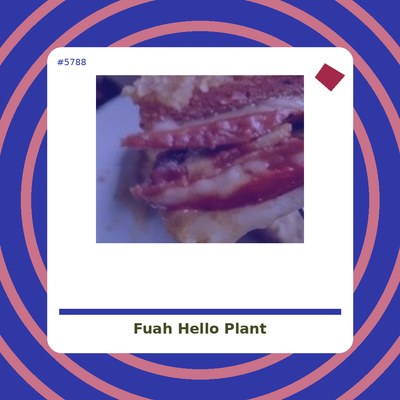 Fuah! - Hello Plant