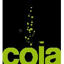 Frixen Cola